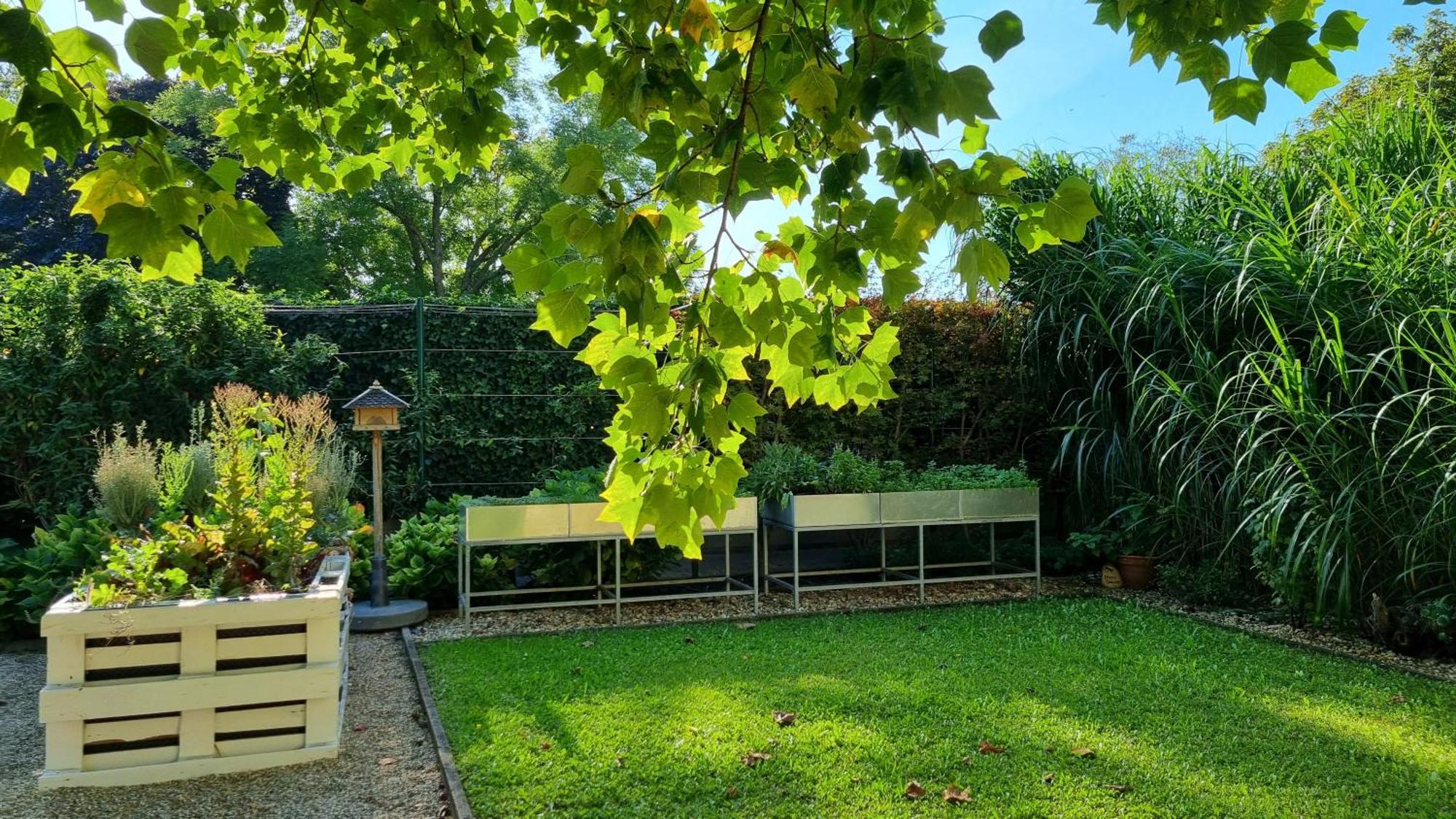 Birkenhof Gols - B & B - Wohlfuehl Hotel Mit Wochenend-Restaurant Экстерьер фото